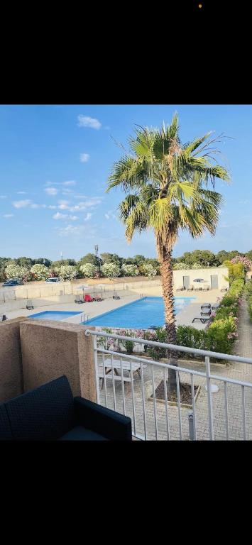 Bel appartement dans résidence avec piscine - B&B Linguizzetta