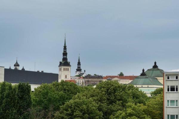 City Center Huge 3-Bedroom Apartment - B&B Tallinn