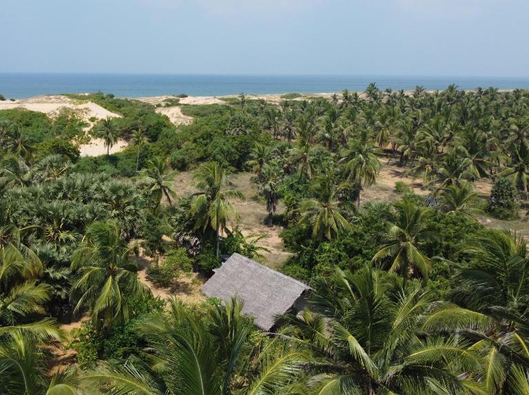 Plastic Bottle House - Dune Towers - B&B Kalpitiya
