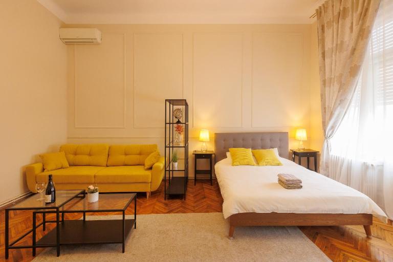 Spacious Flat in Old Town Wi-Fi - B&B Timișoara
