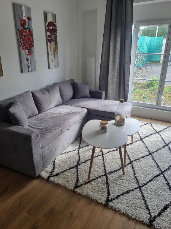 The Grey studio - B&B Saint-Michel-sur-Orge
