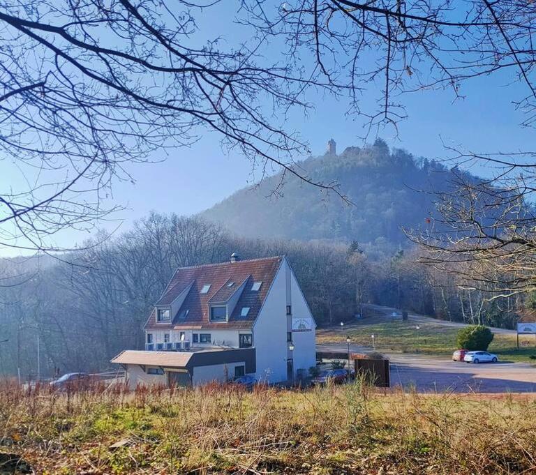 Au pied du Château - B&B Orschwiller