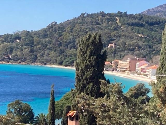 Cap Sud,apt 4p,vue mer,pr plage - B&B Le Lavandou