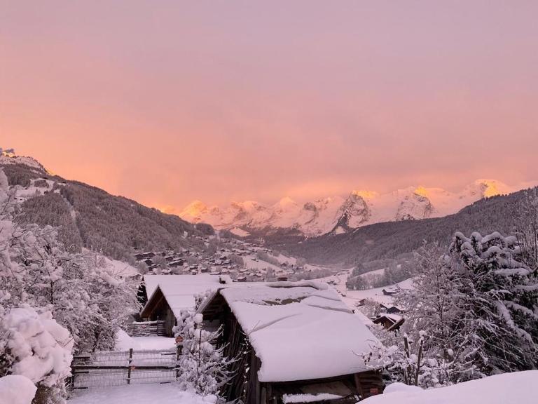 LE RUCHER DE LA VIGNETTE - B&B Le Grand-Bornand
