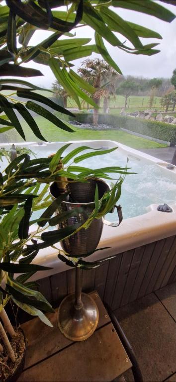 LA VILLA DE SENY , villa de charme avec jardin ,Piscine nature, jacuzzi , petanque, fitness, billard,ping pong, - Ferienwohnung Seny