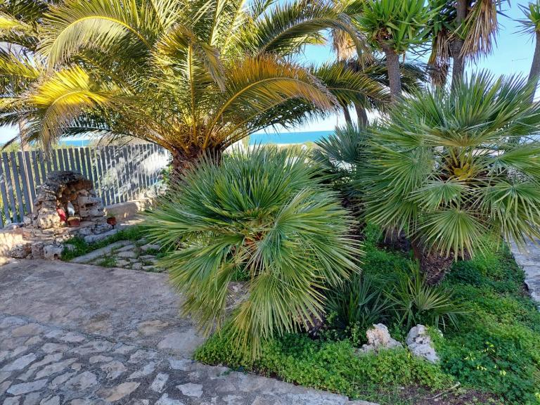 Perla Rosa - B&B Polignano a Mare