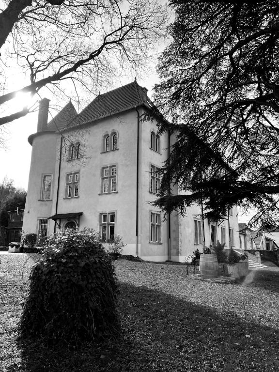Bed and Breakfast Le Château de Morey - B&B Morey