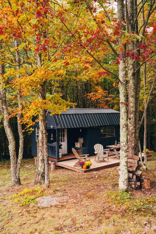 Mountain Brook Cabin - B&B Bovina Center