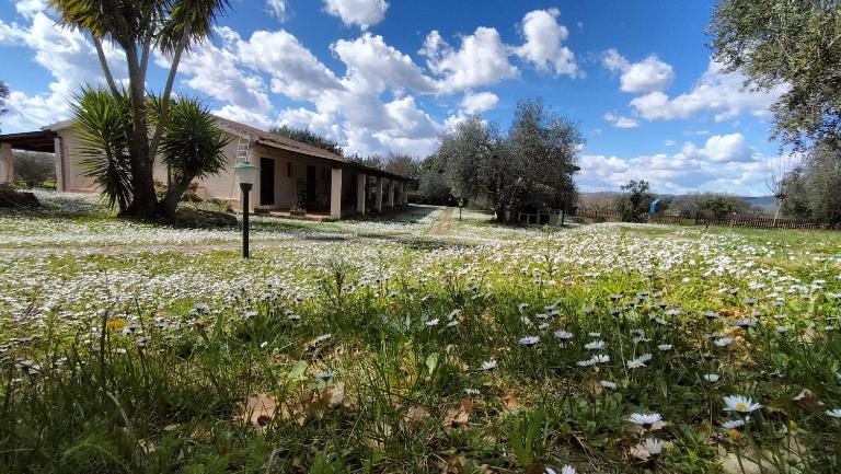 Agriturismo Bio Pian Dei Casali - Bed and Breakfast Saturnia