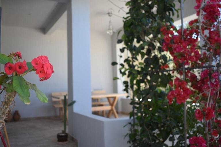 Blackbeard's House - Kastri Crete - B&B Kastrí