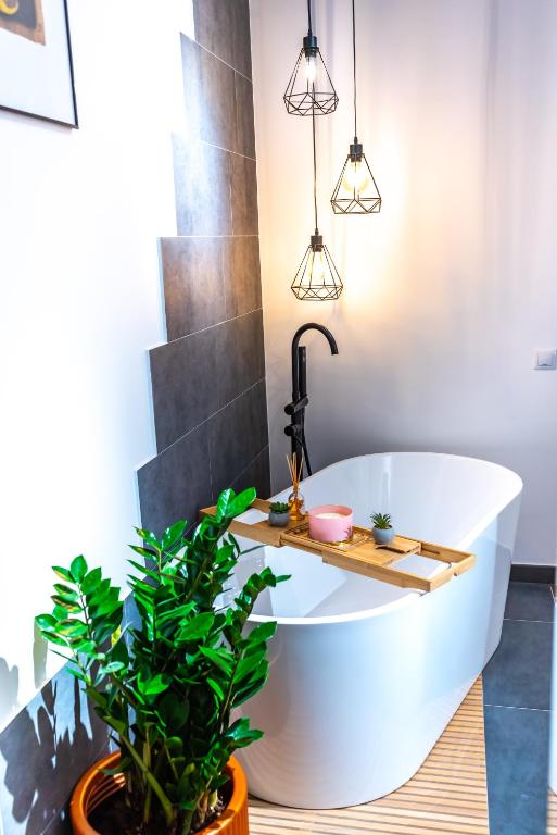 Thome Ego Flat - B&B Cluj-Napoca