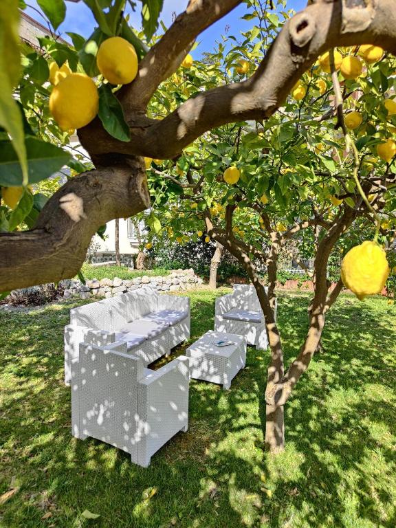 Casa Amorino - B&B Minori