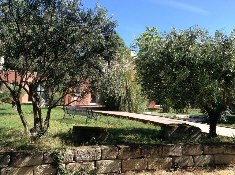 De la suite dans les oliviers - B&B Gallargues-le-Montueux