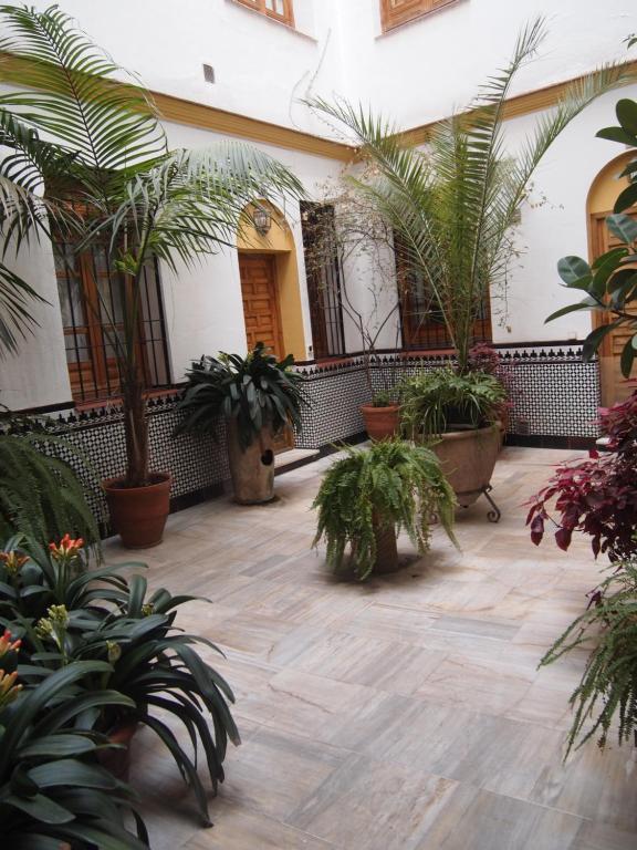 Vivienda típica cordobesa en LEIVA AGUILAR - Chambres d'hôtes Cordoue