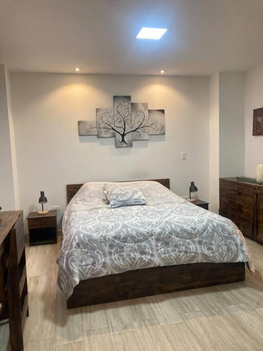Cozy Suite Cuenca - B&B Cuenca