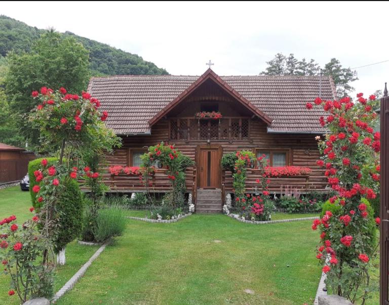 Casa Bunicii - Ferienwohnung Costești