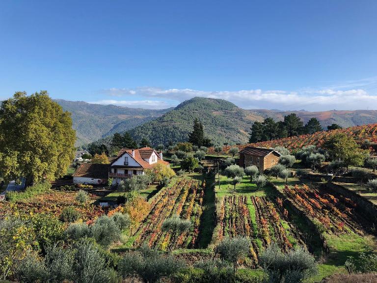 Quinta Vila Rachel - Winery - B&B São Mamede de Riba Tua
