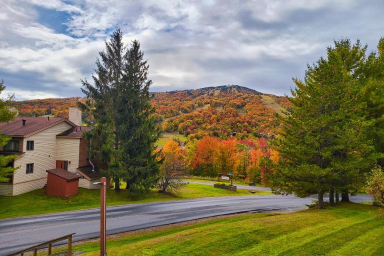 Mountain Village 5H Unit B - B&B Dover