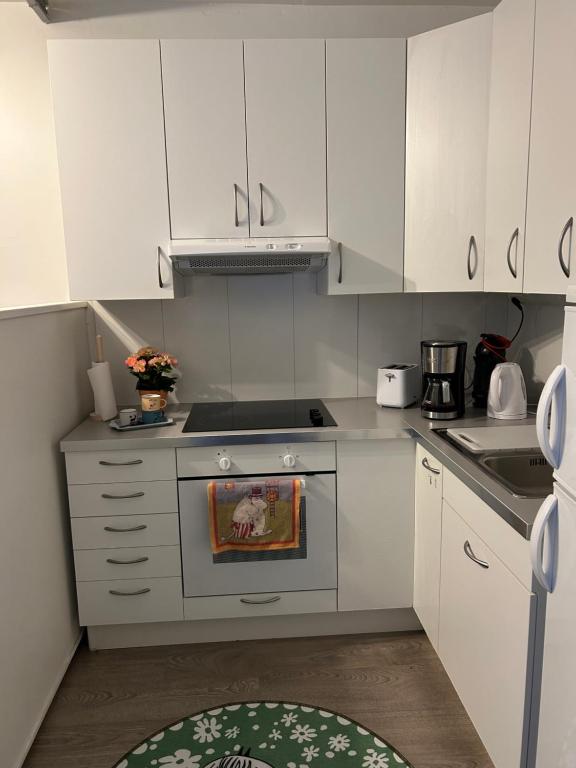 Studio - B&B Rovaniemi