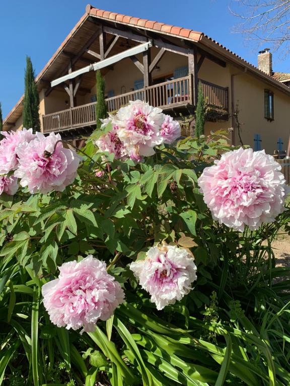 Lauberge de Nogaro - Chambres d'hôtes Caupenne-d'Armagnac