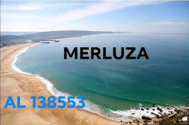 Merluza - B&B Nazaré