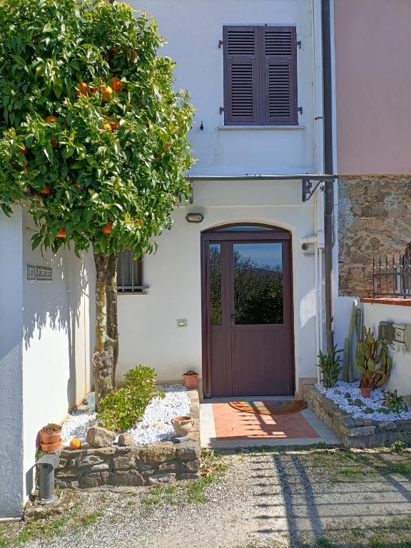La Gesualda locazione turistica - B&B Castelnuovo Magra