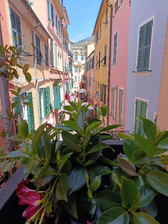 Il Balconcino sul carugio - Bed and Breakfast Monterosso al Mare