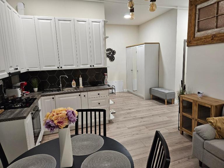 Cozy apartament - Chambres d'hôtes Sighetu Marmaţiei