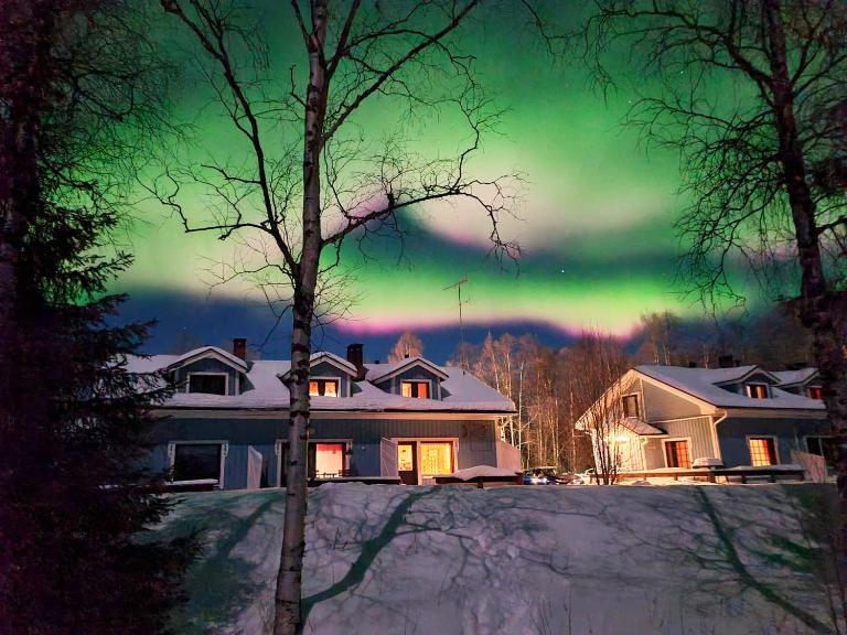 Gold Digger's Timber - B&B Inari