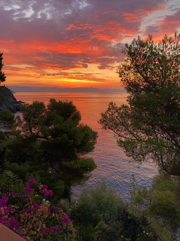 Villa Cokkinis fronte mare con ampio giardino - Bed and Breakfast Varazze