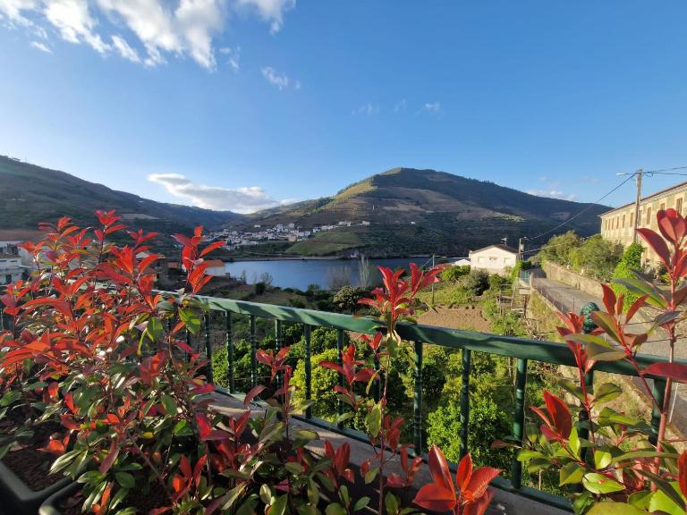 Casa dos Avós - Folgosa Douro - B&B Folgosa