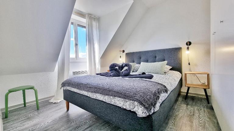 Colmar Mon Amour-CHIC-GARAGE-FIBRE-RBNB - B&B Colmar