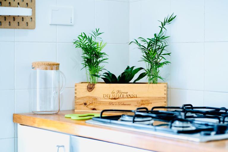 PLANT HOUSE Roma San Paolo - Ferienwohnung Rom