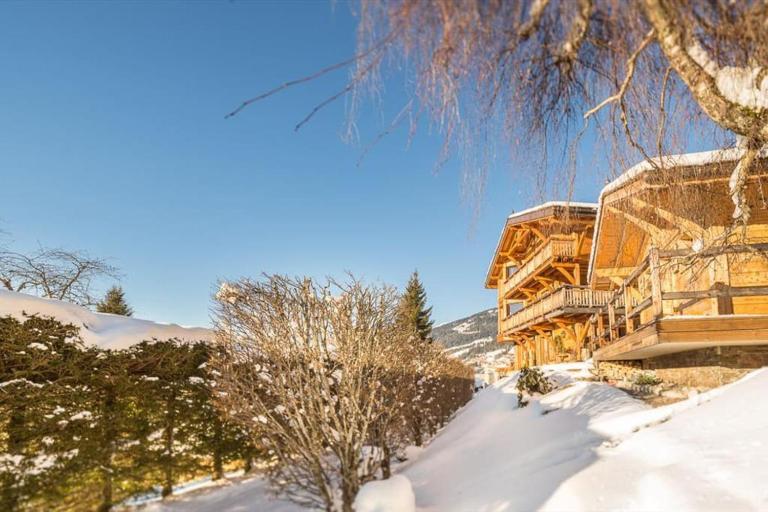 Joyau des neiges - Chalet - BO Immobilier - Châtel Multipass 2025 Activités en Été offert par votre hôte - B&B Châtel