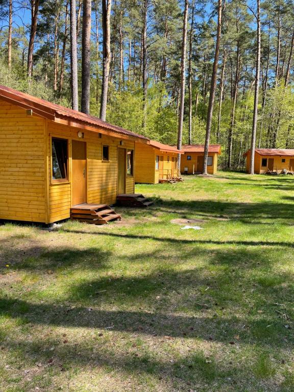 Domki i Pole Namiotowe Pod Sosnami - Ferienwohnung Olsztyn