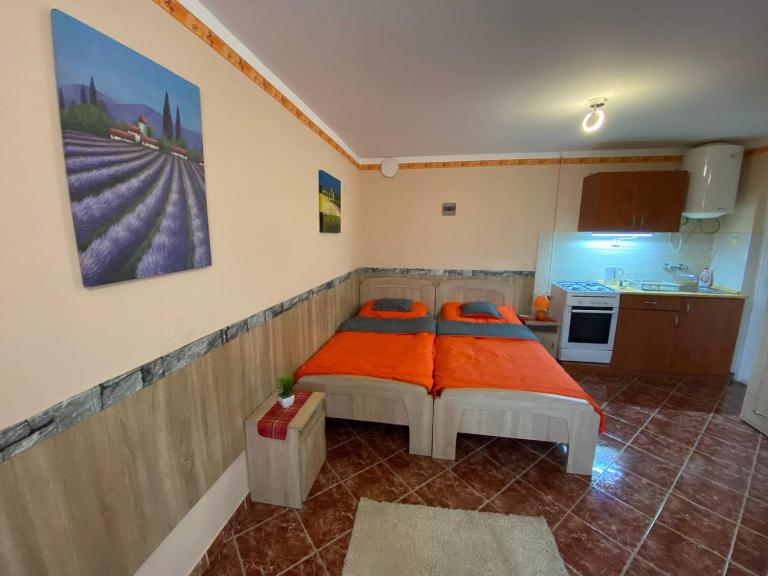 Hajnal Apartman - Ferienwohnung Hajduszoboszlo