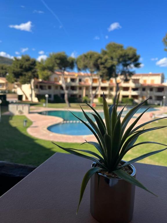 Residencial Alcanar Costa - Bed and Breakfast Alcanar