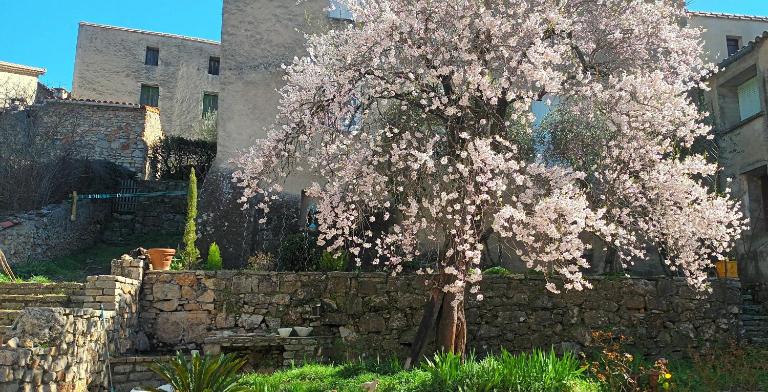 maison MON REVE - B&B Le Vigan