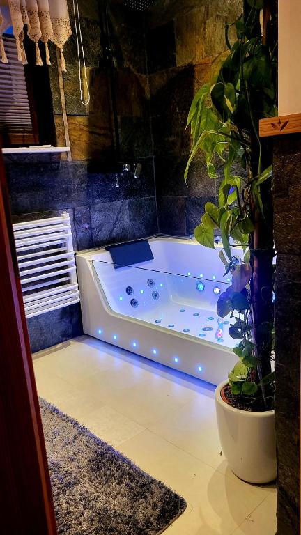 Apartament Rykowisko - B&B Zakopane
