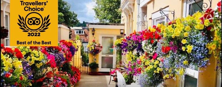 Crowndale Torquay - Exclusively for Adults - B&B Torquay