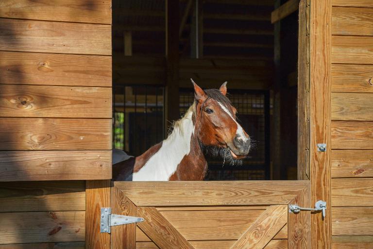 Farm Stay: Modern Barndominium in Lakeland! - Chambres d'hôtes Lakeland