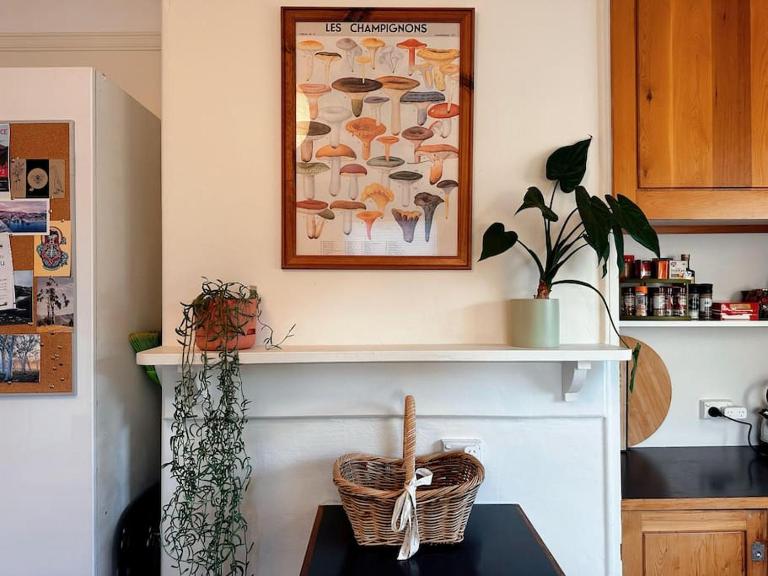 Enchanting Vintage House at South Hobart - B&B Hobart