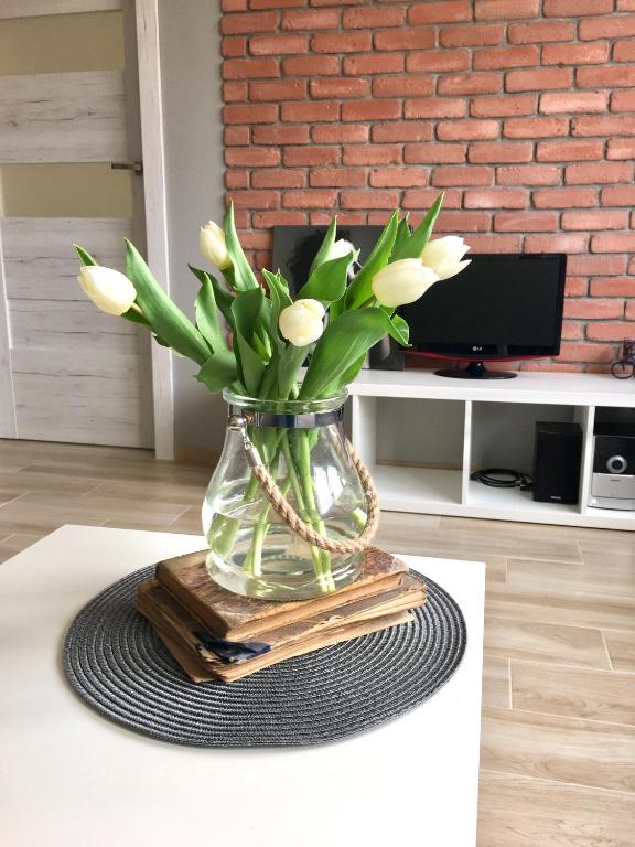 Uroczy apartament w Giżycku - Chambres d'hôtes Giżycko