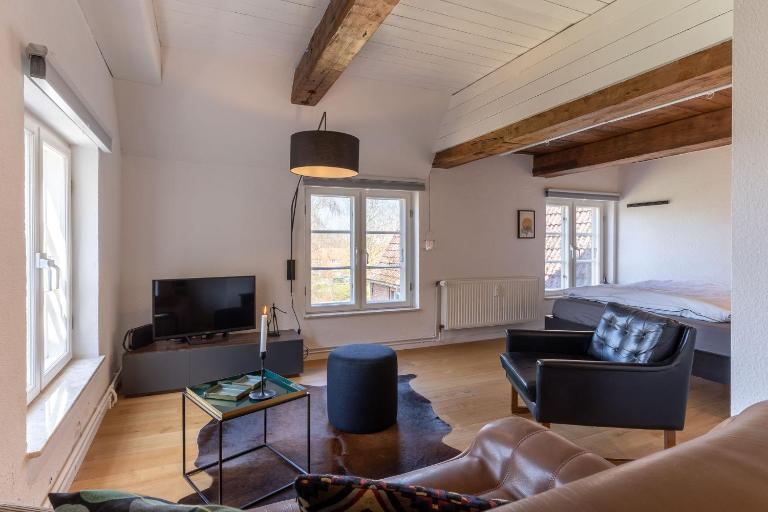 Dachstuv von Esmarch - Ferienwohnung Tönning