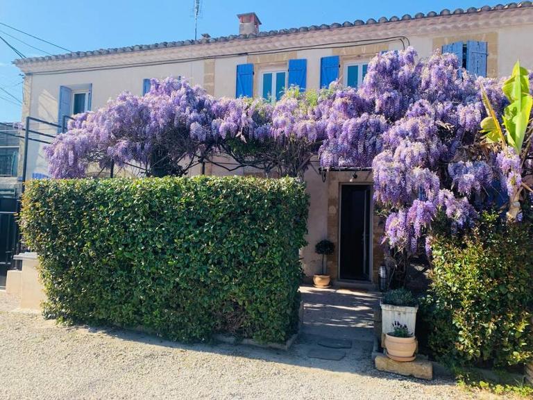 Le mas des glycines - parking privé et terrasse ombragée - Bed and Breakfast Salon-de-Provence