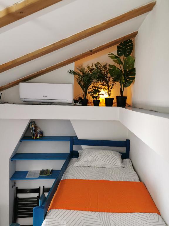 Apartment Camerin - B&B Capodistria