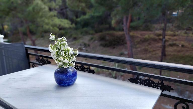 Evaggelia's Seaside Boutique Apartment - Chambres d'hôtes Iraío