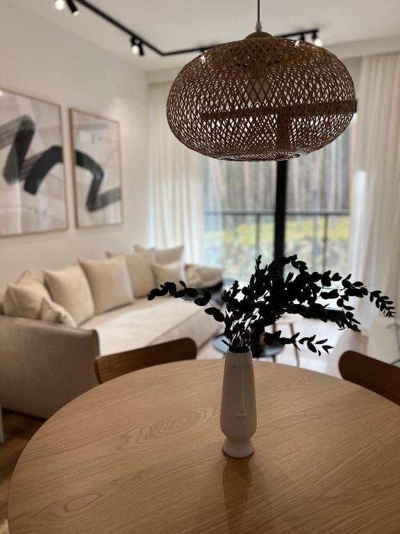 Pine Baltic Apartamenty Shellter Rogowo - Bed and Breakfast Rogowo