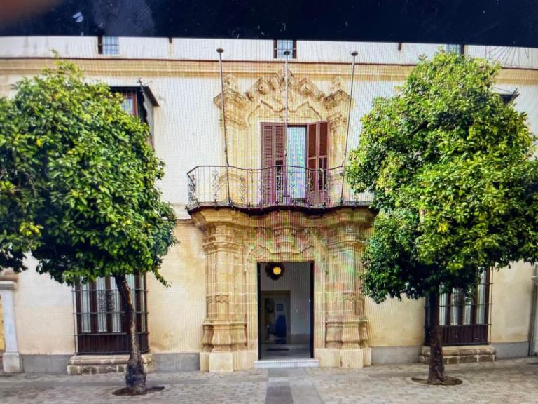 CASA PALACIO en Jerez de la Frontera con piscina privada - B&B Jerez de la Frontera