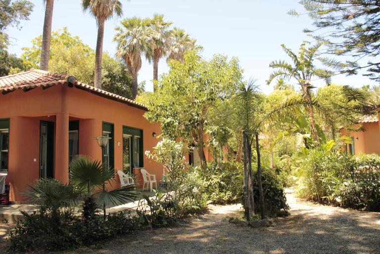 Residence le Palme Garden - B&B San Giorgio
